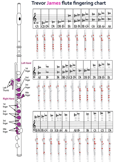 Flute Finger Chart For Beginners